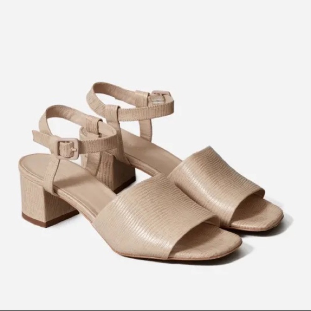 Everlane Block Heel Sandal